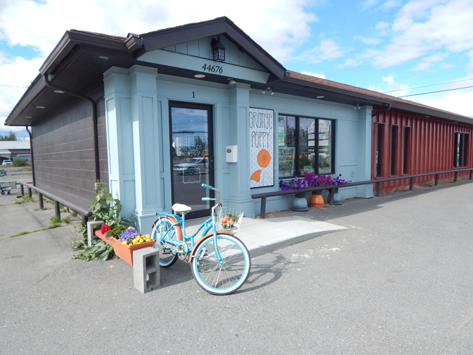 soldotna