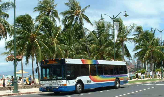 thebus531 width=