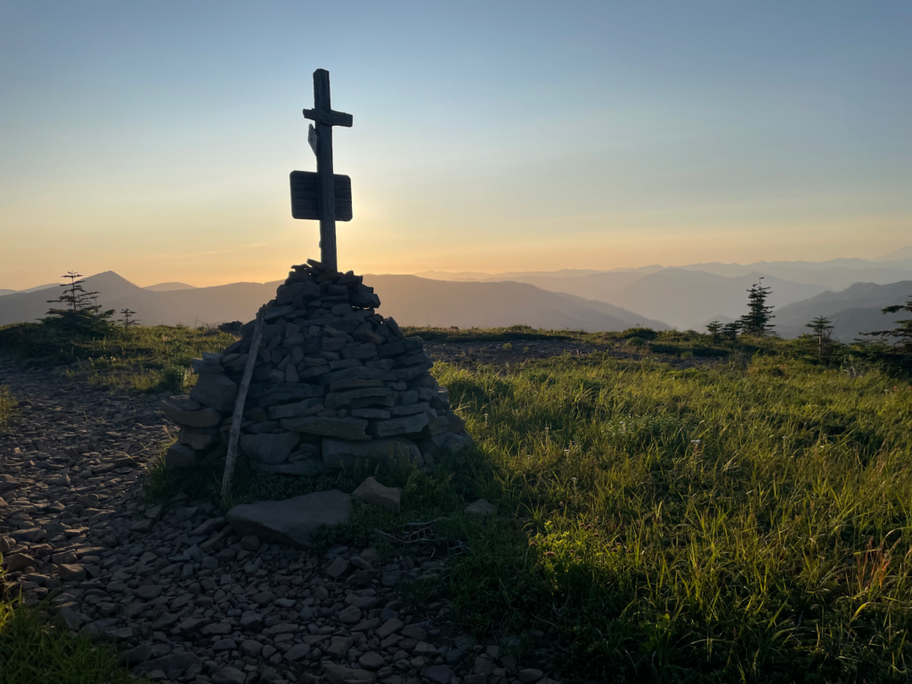 A sign post atop a mound of earth in the middle of the wilderness