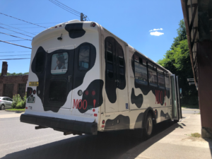 Passengers ride in style on this MOOver bus decked out in black and white cow print